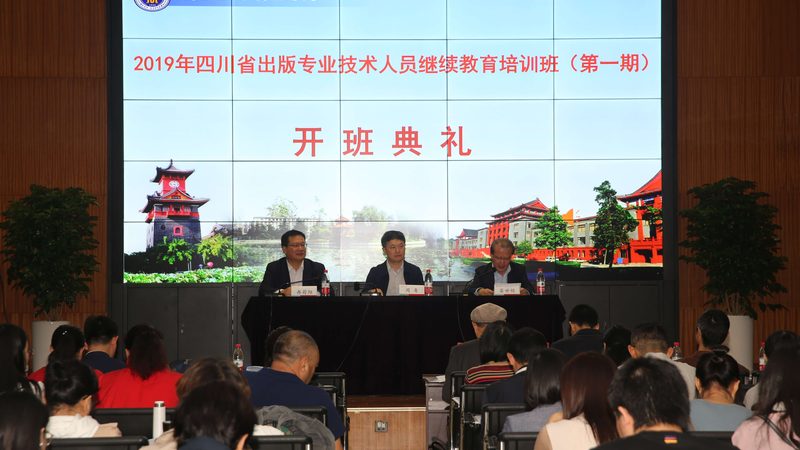 Scratch与少儿编程：探秘两者间的微妙差异